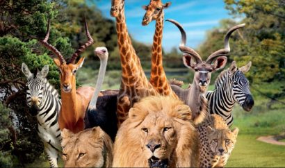 Profitez d’une journée découverte au Zoo de la Flèche !